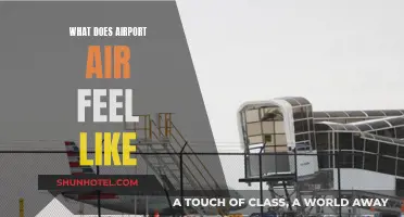 Airports' Air: A Unique, Sterile Breeze