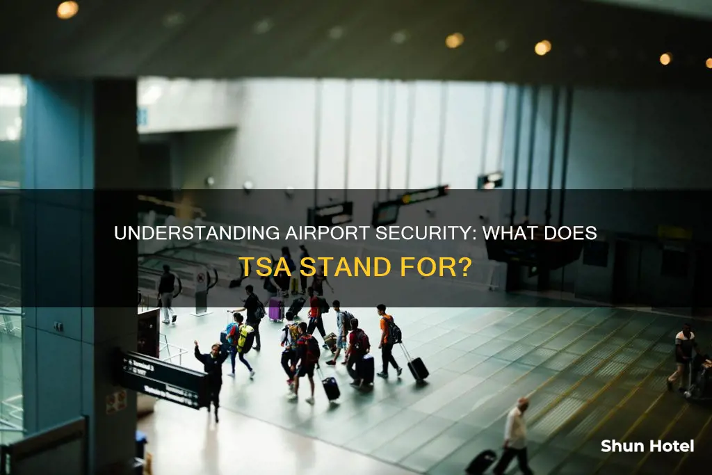 what does airport tsa stand for
