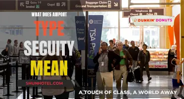 Airport-Style Security: What Does It Mean?