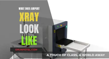 X-ray Vision: Unveiling Airport Security Secrets
