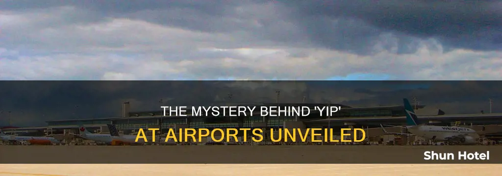 what does airport yip stand for