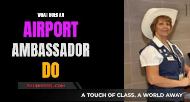 The Exciting Role of an Airport Ambassador