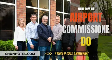 The Role and Responsibilities of an Airport Commissioner