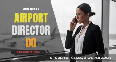 The Airport Director: Managing Flights and More