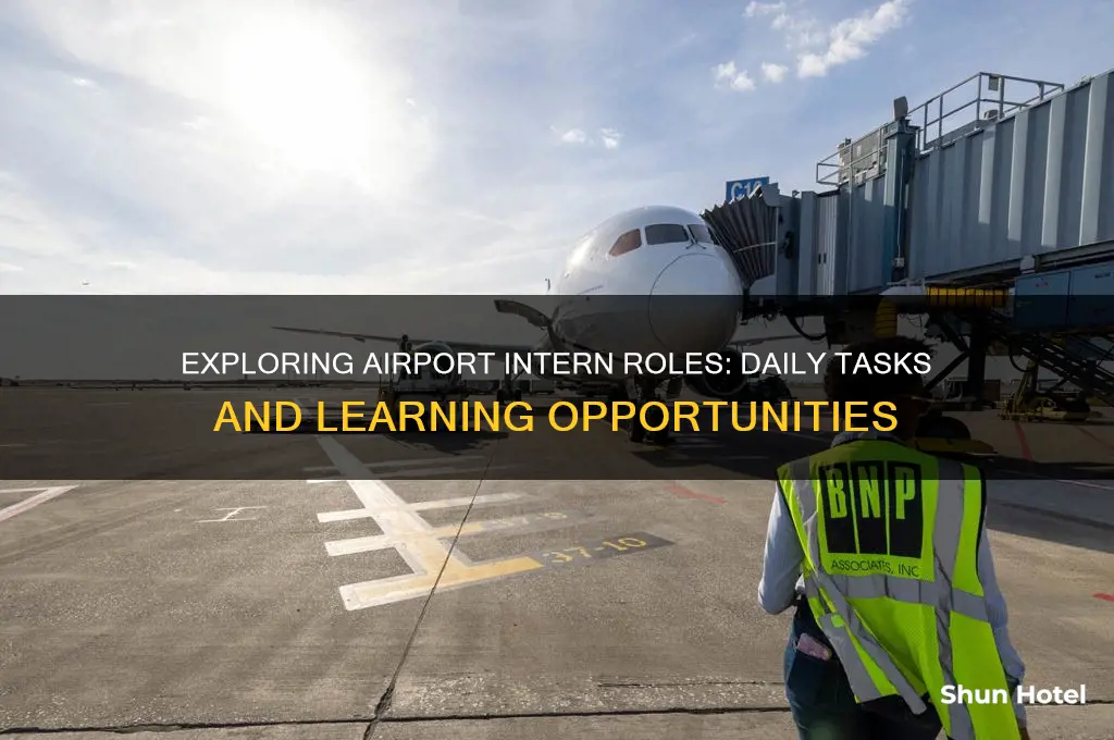 what does an airport intern do