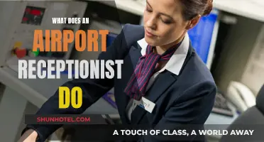 The Dynamic Role of an Airport Receptionist