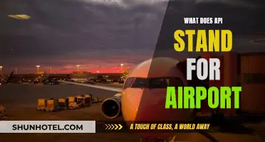 What Does API Mean in Airports and Why It Matters
