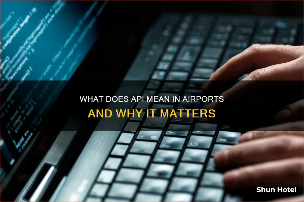 what does api stand for airport