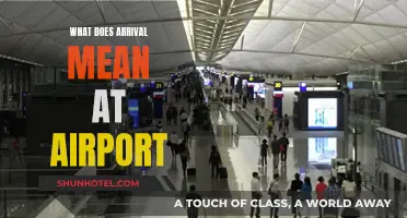 Understanding Arrival Procedures: A Guide to Airport Arrivals