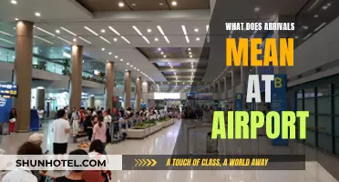 The Meaning of Airport Arrivals and Their Importance