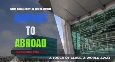 Navigating International Airport Arrivals: A Guide to Traveling Abroad