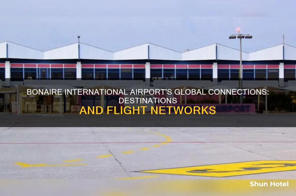 what does bonaire international airport have connections to
