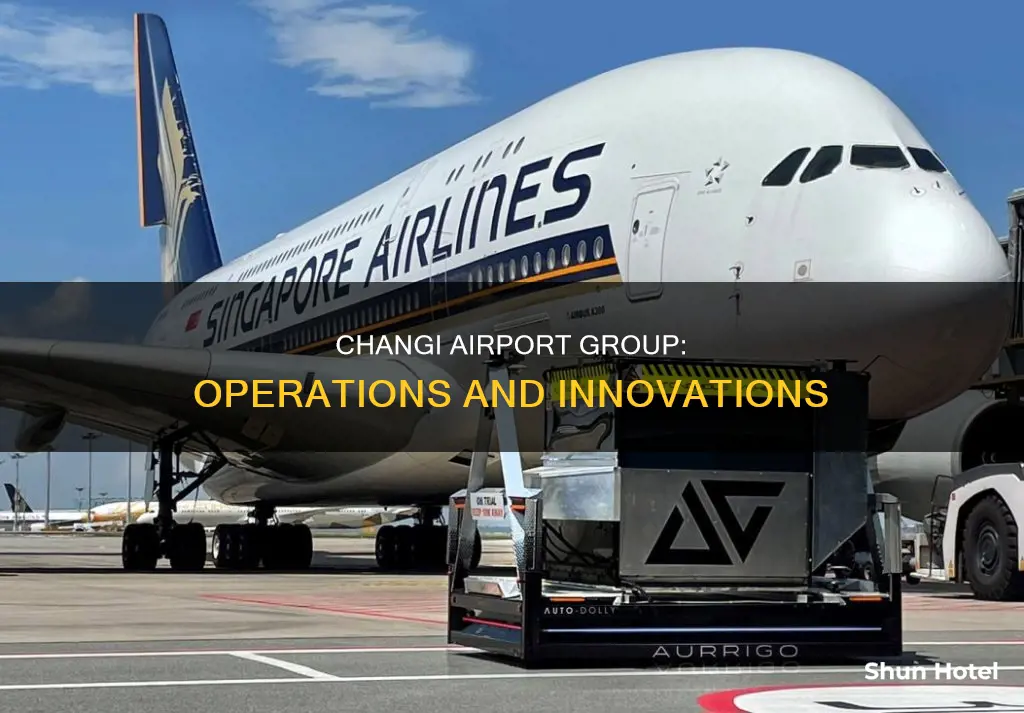 what does changi airport group do