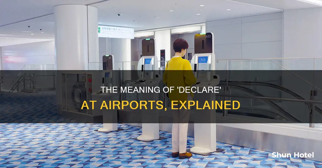 what does declare mean at airport