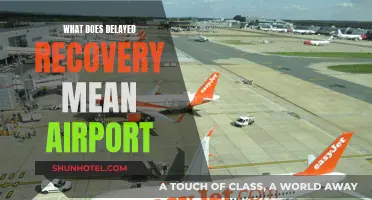 Delayed Recovery: Understanding Airport Lingo and What It Means