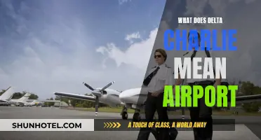 Understanding Airport Lingo: Delta Charlie Explained