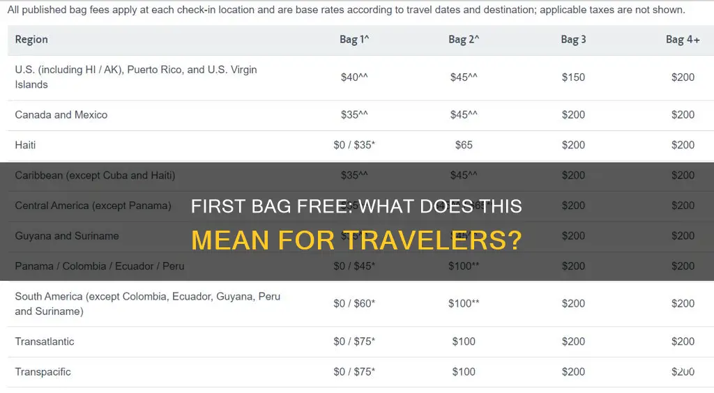 what does first bag mean airport