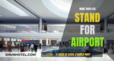 What Does FIS Stand For? Airport Code Explained
