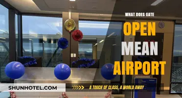 Understanding 'Gate Open' at Airports: Meaning, Process, and Passenger Tips