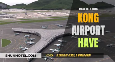 Hong Kong Airport: Unique Features and Amenities