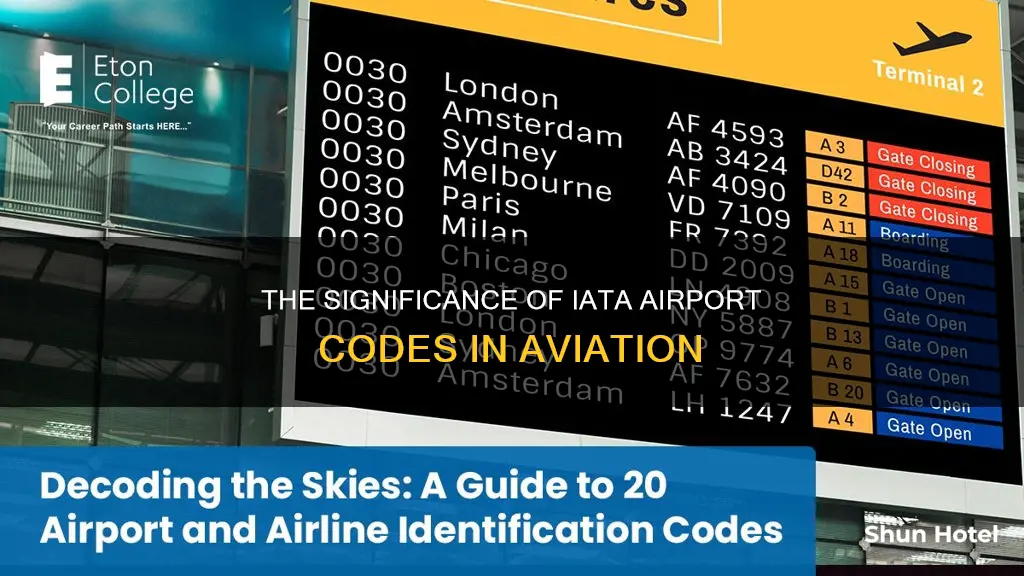 what does iata mean for airports