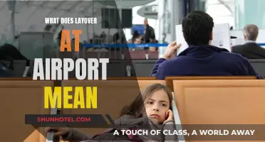 Understanding Layovers: What They Mean for Your Airport Experience