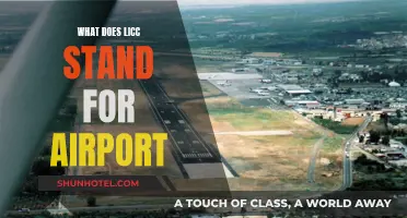 LICCs: The Future of Airport Efficiency and Capacity