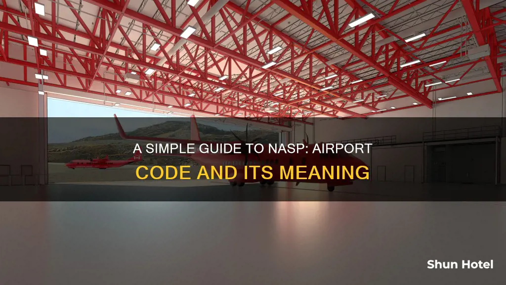 what does nasp stand for airport