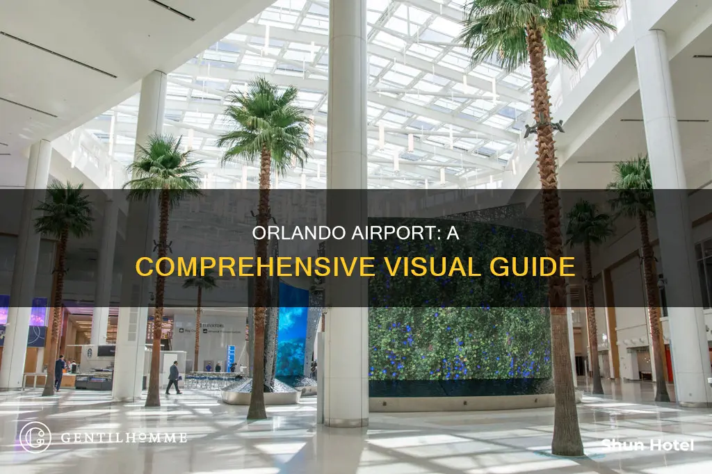 what does orlando airport look like