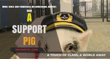 San Francisco Airport's Unique Support Pig: A Heartwarming Companion