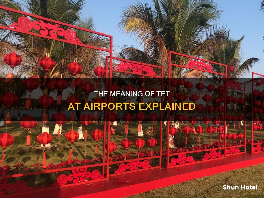 what does tet stand for airport