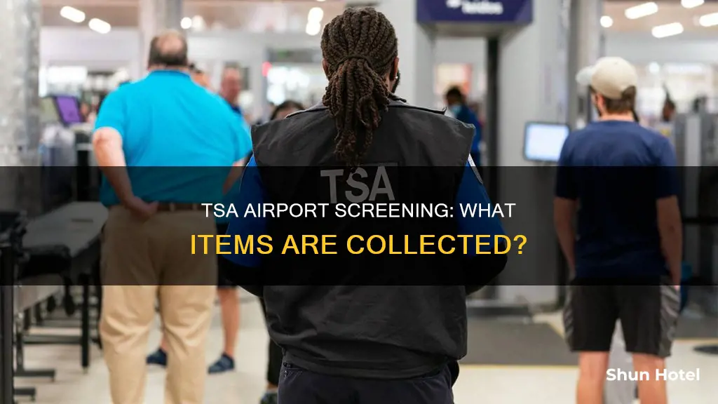what does tsa collect at airports