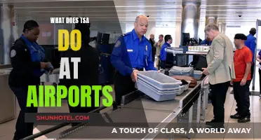 TSA's Role: Ensuring Safe Skies and Secure Airports