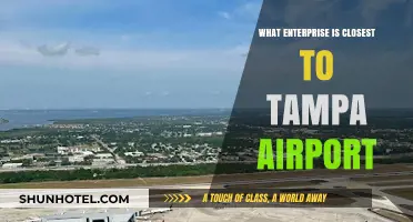 Top Enterprises Near Tampa Airport: A Quick Business Traveler's Guide