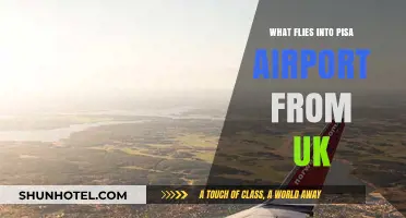 UK to Pisa: Direct Flights and Travel Options to Italy