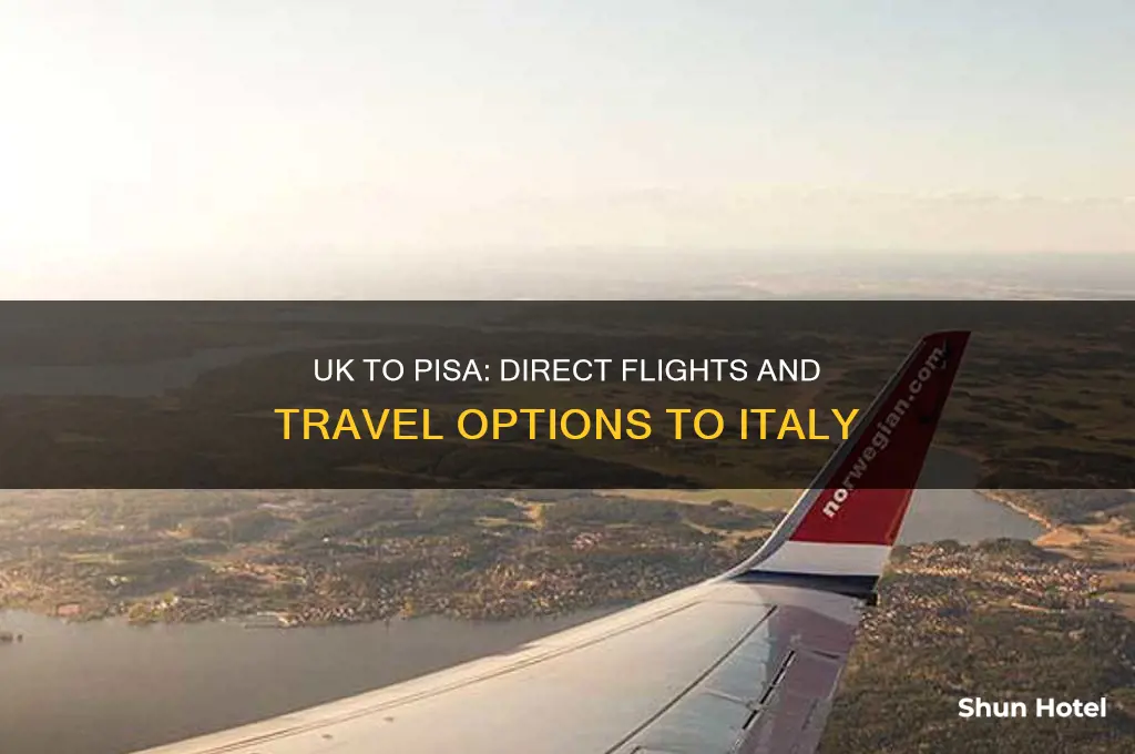 what flies into pisa airport from uk