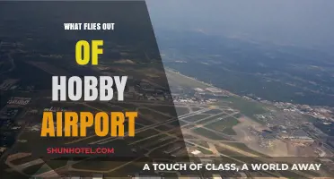 Exploring Flights: What Flies Out of Hobby Airport Daily?