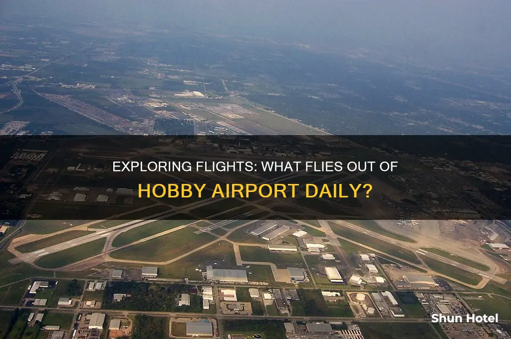 what flies out of hobby airport
