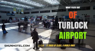 Discovering Turlock Airport's Departures: What Flies Out Daily?