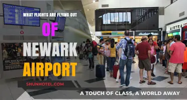 Newark Airport Departures: Explore Flights Taking Off Today and Beyond