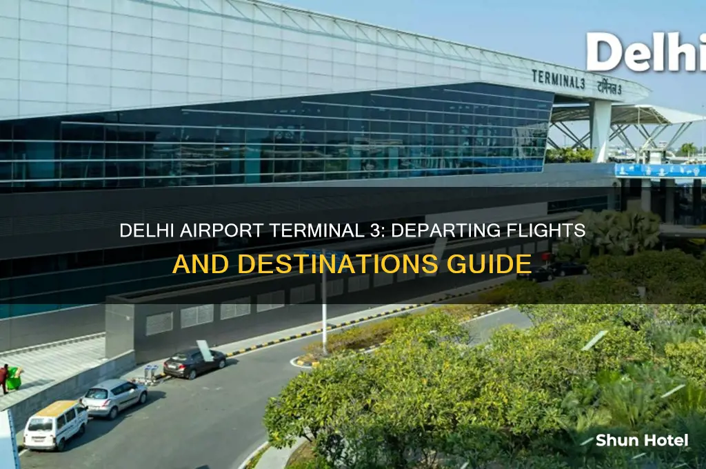 what flights depart from terminal 3 in delhi internation airport