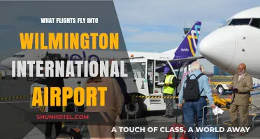 Discover Airlines Serving Wilmington International Airport: Your Flight Guide