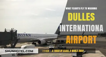 Flights to Washington Dulles: Airlines and Routes Guide
