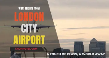 London City Airport: Exploring Flight Options and Destinations