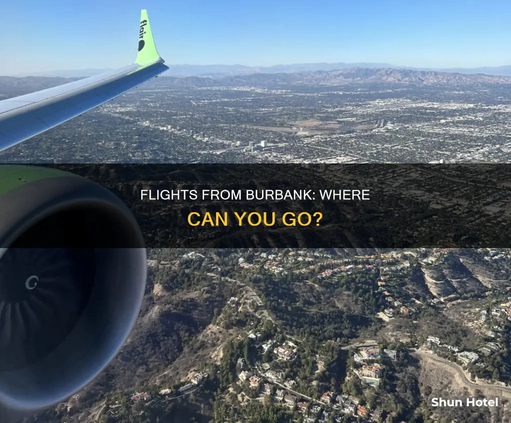 what flights goe sfron burbank airport