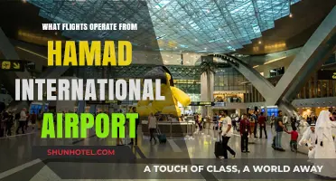 Flights from Hamad International Airport: Routes and Destinations Guide