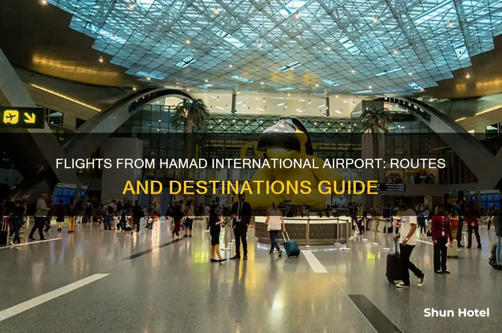 what flights operate from hamad international airport