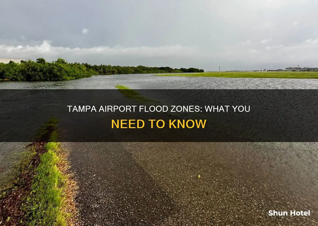what flood zone is tampa airport