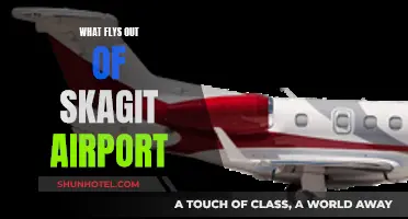 Aircraft, Seaplanes, and Helicopters: Skagit Airport's Diverse Flights