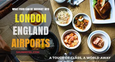 London Airports: What Foods Can I Bring?